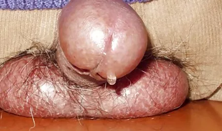 سکس زوج خدمتکار داستان سکس ضربدری تصویری من
